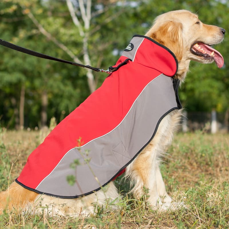 Осенняя накидка дождевик для золотистого голден ретривера «Raincoat Cape»